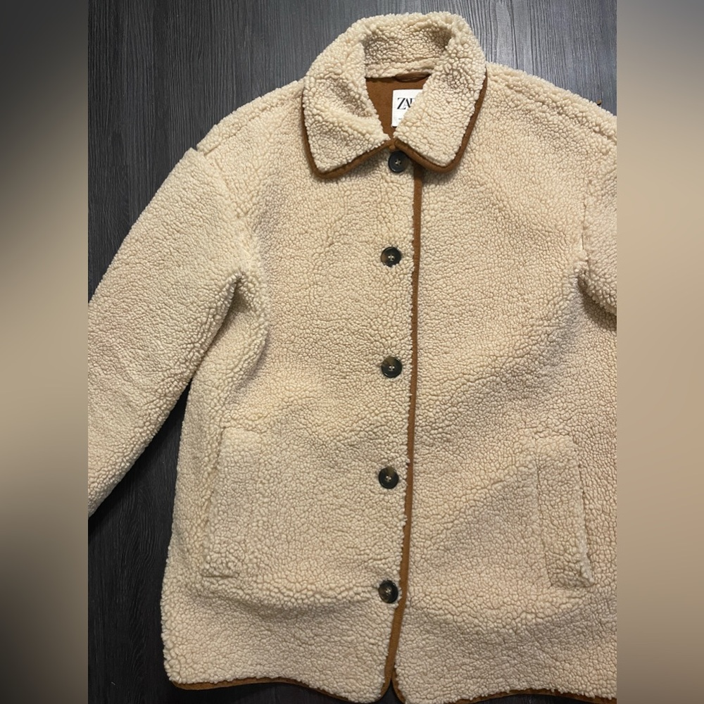 ZARA Teddy Bear Fleece Long Coat